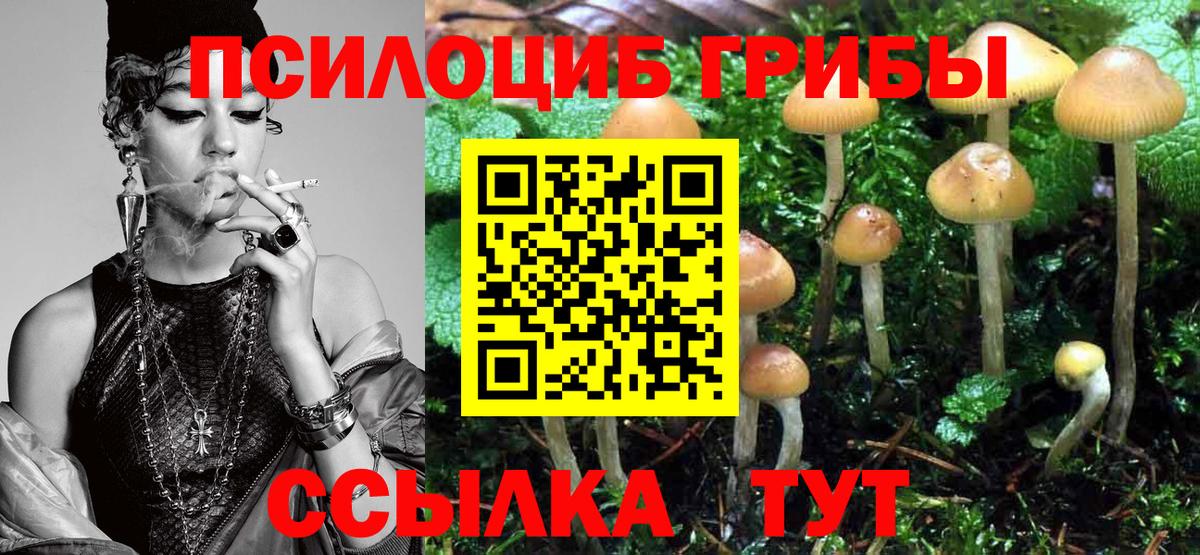 Псилоцибиновые грибы мухоморы Коряжма