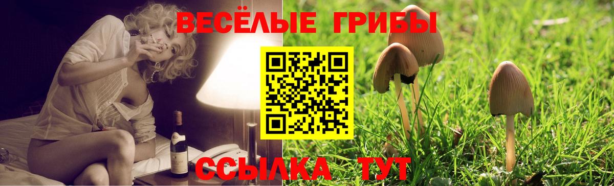 Галлюциногенные грибы Psilocybine cubensis  Вход с VPN  Коряжма 