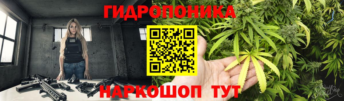 Бошки марихуана Ganja  Конопля Ganja  Коряжма  Марихуана марихуана  Вход с VPN  Бошки Шишки LSD WEED 